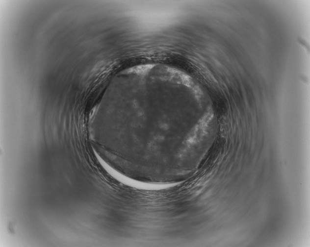 X0000095921298200802011204