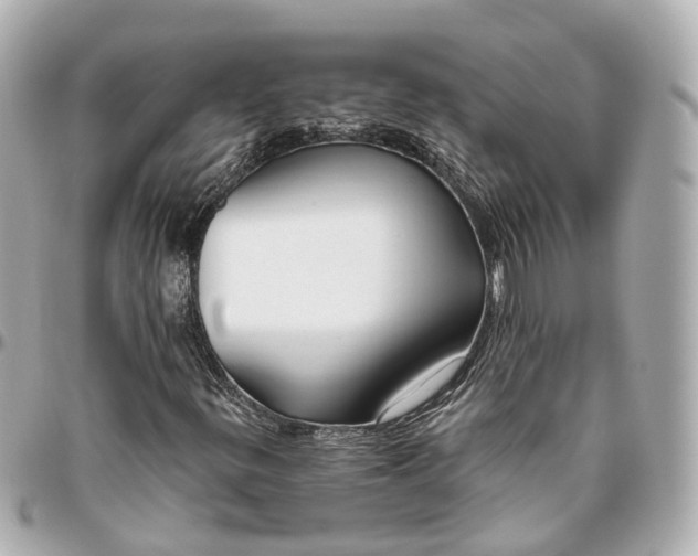 X0000095921299200802011204