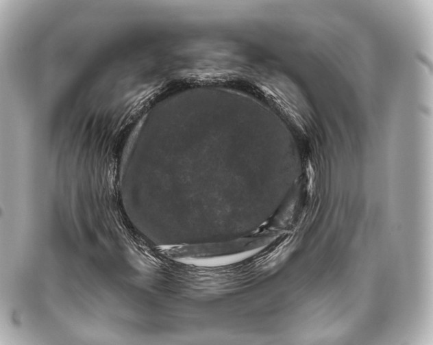 X0000095921300200802011204