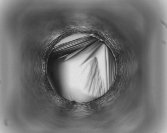 X0000095921301200802011204