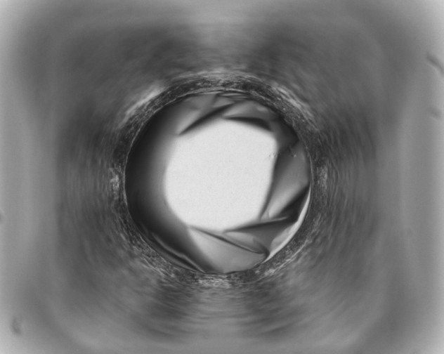 X0000095921302200802011204