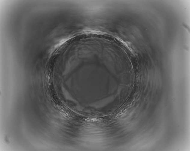 X0000095921303200802011204