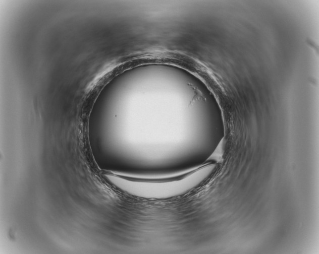 X0000095921304200802011204