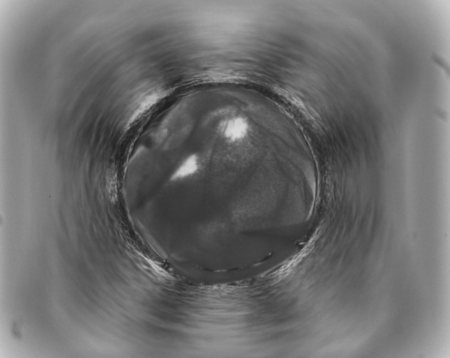 X0000095921306200802011204