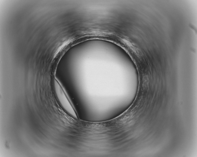 X0000095921307200802011204