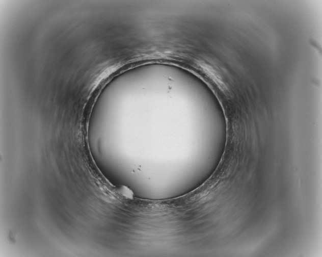 X0000095921308200802011204