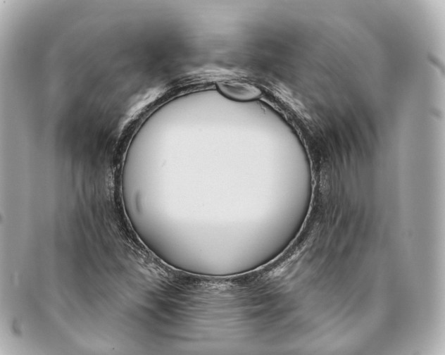 X0000095921309200802011204