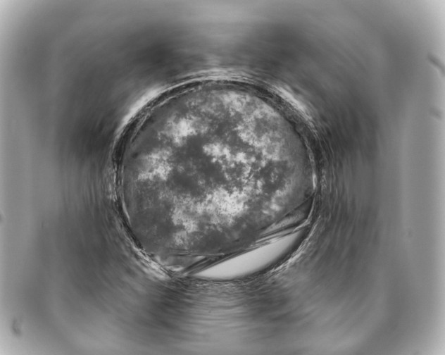 X0000095921310200802011204