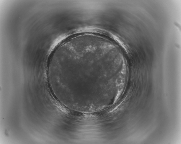 X0000095921312200802011204