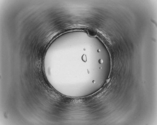 X0000095921313200802011204