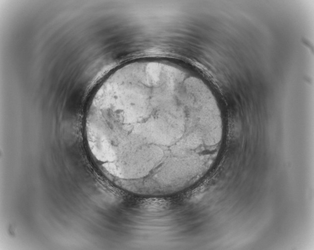 X0000095921314200802011204