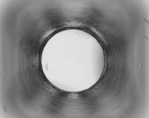 X0000095921315200802011204