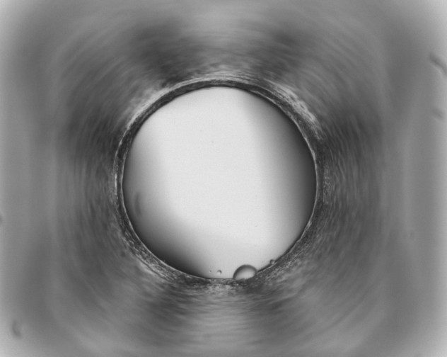 X0000095921316200802011204