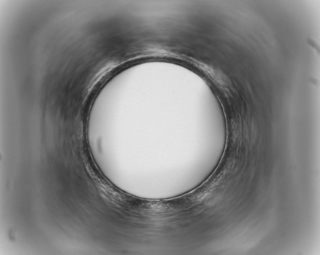 X0000095921318200802011204