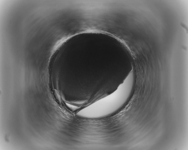 X0000095921319200802011204