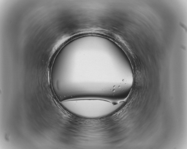 X0000095921320200802011204