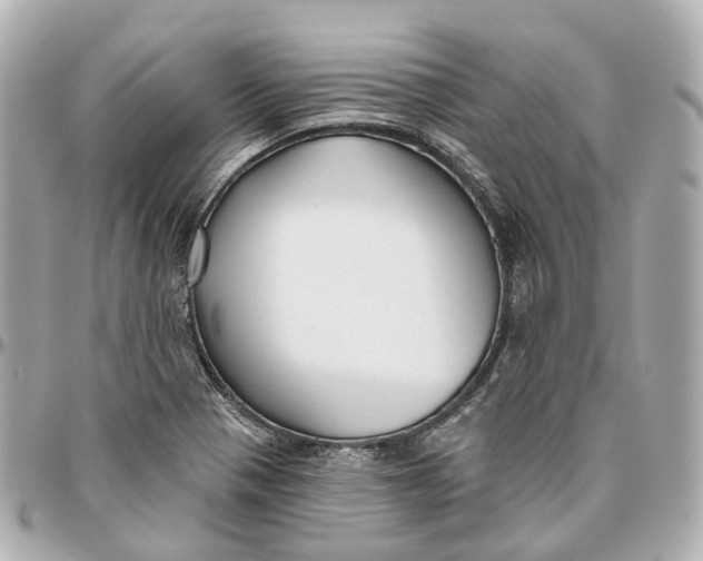 X0000095921321200802011204