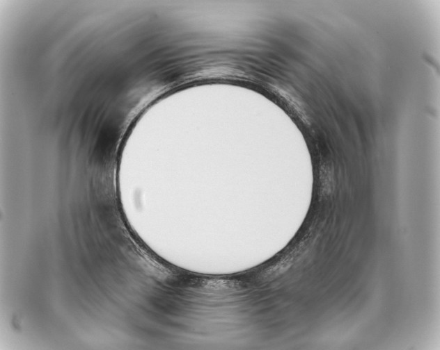 X0000095921322200802011204