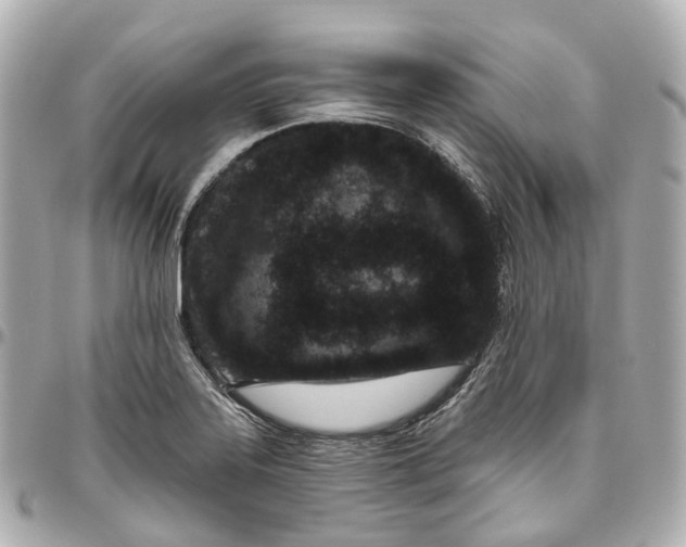 X0000095921323200802011204