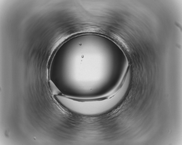 X0000095921324200802011204