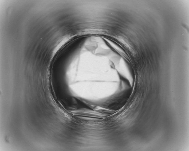 X0000095921325200802011204