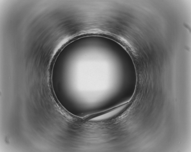 X0000095921326200802011204