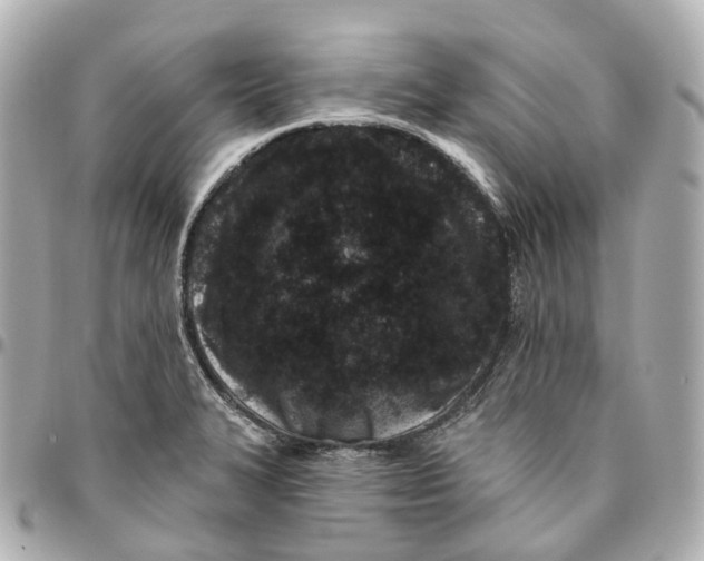 X0000095921327200802011204