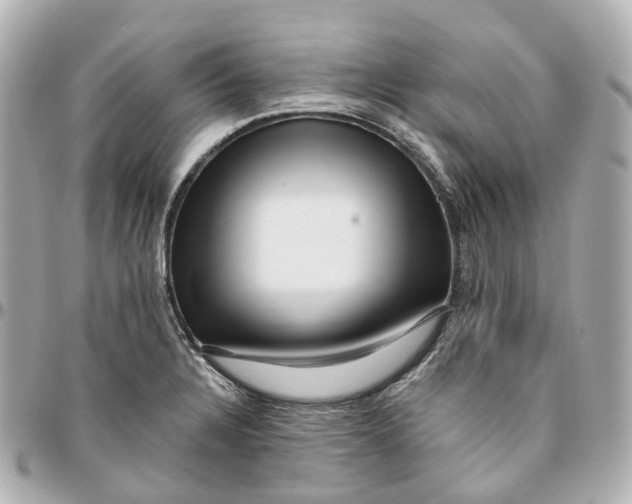 X0000095921328200802011204