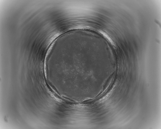 X0000095921329200802011204