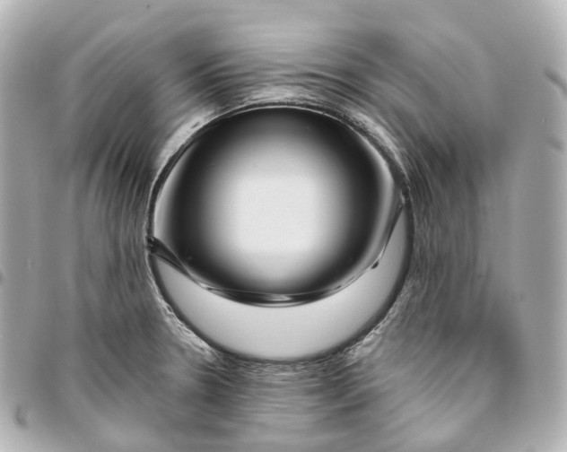 X0000095921330200802011204