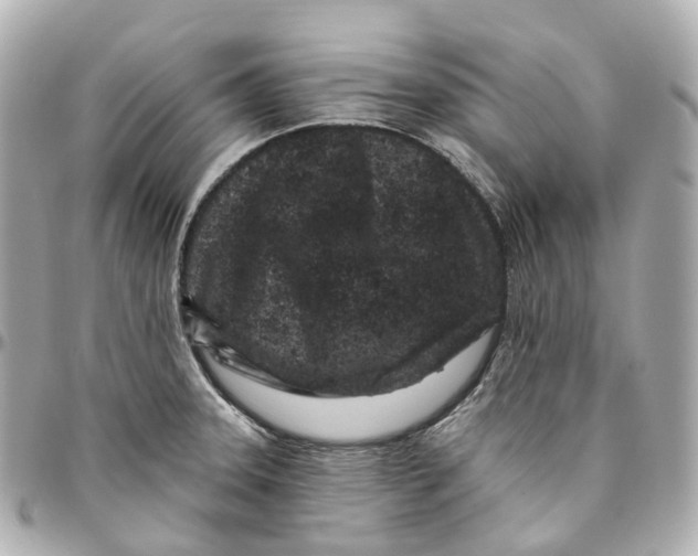 X0000095921331200802011204