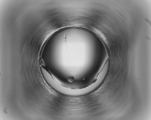 X0000095921332200802011204