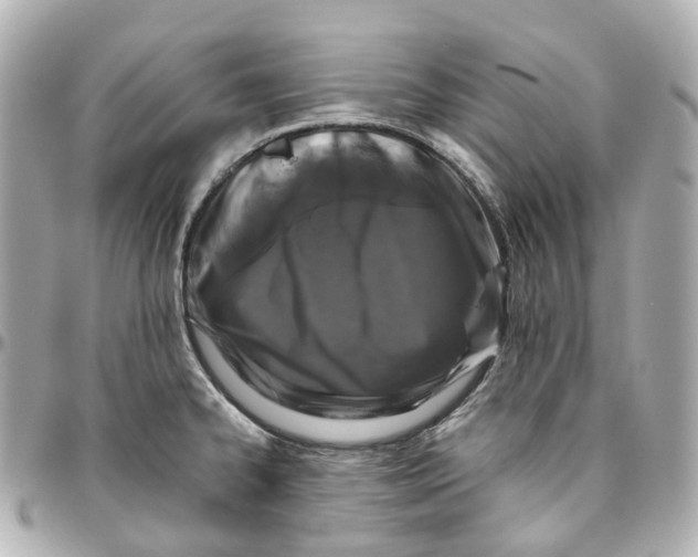 X0000095921334200802011204