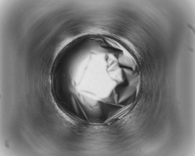 X0000095921335200802011204