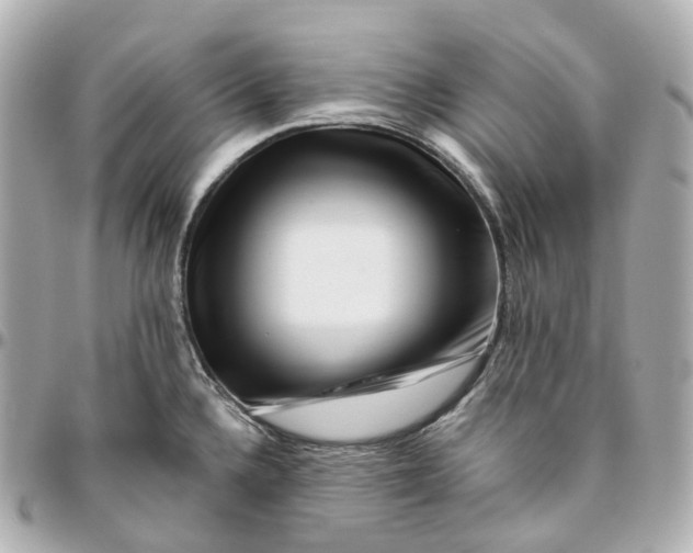 X0000095921336200802011204