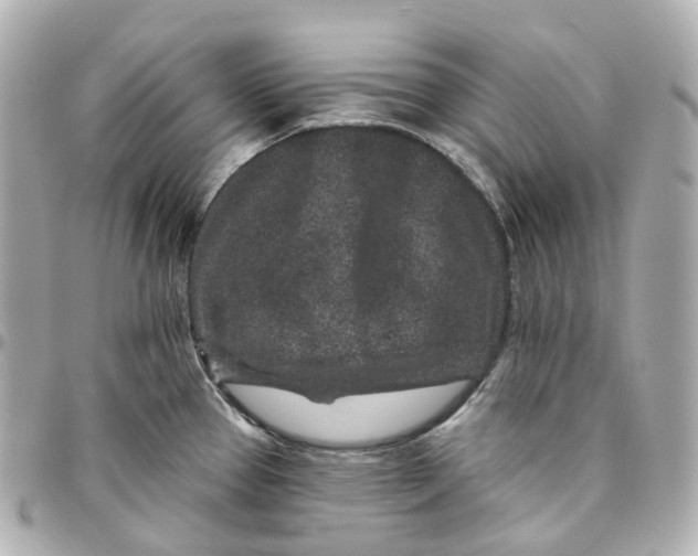 X0000095921337200802011204