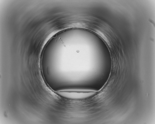 X0000095921339200802011204