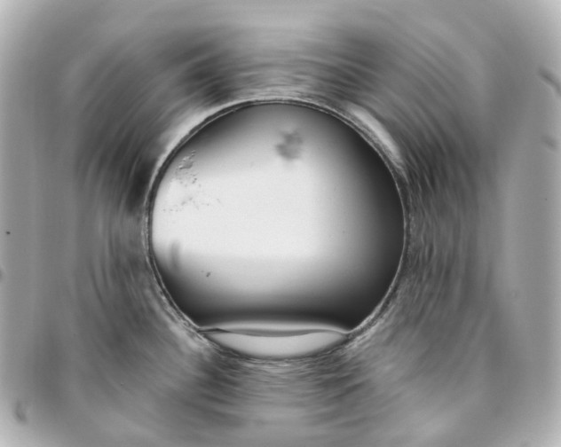 X0000095921340200802011204