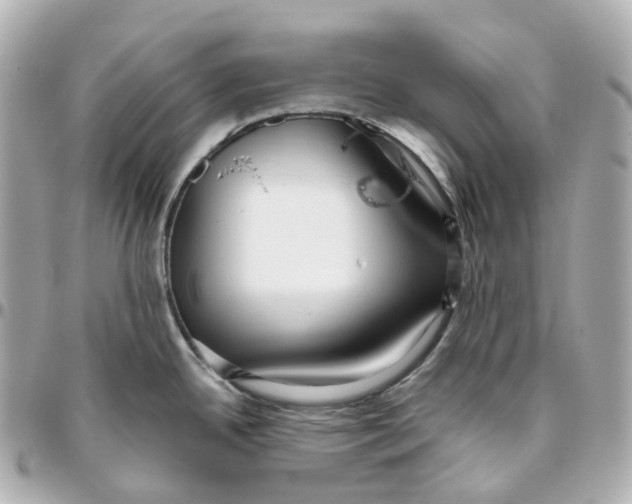 X0000095921342200802011204