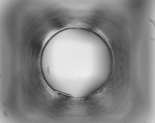 X0000095921344200802011204