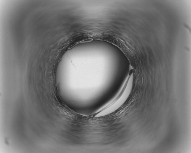 X0000095921345200802011204