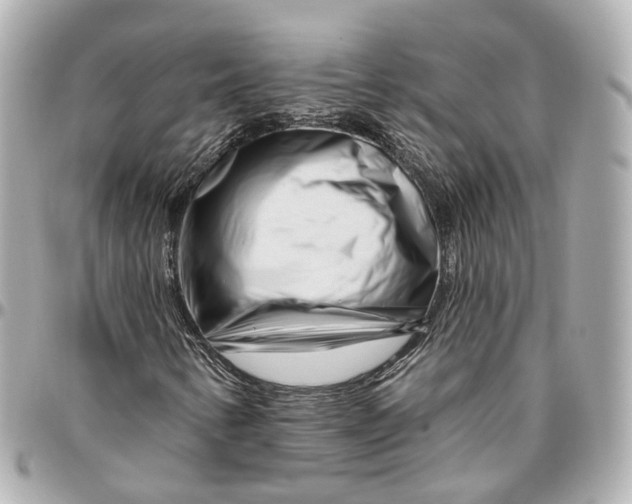 X0000095921346200802011204