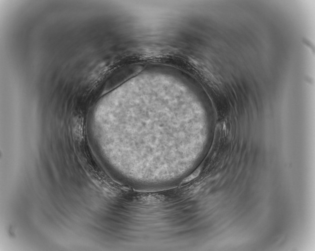 X0000095921348200802011204