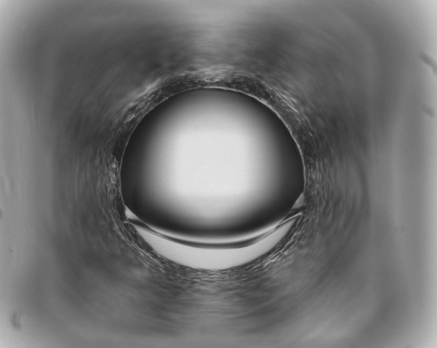 X0000095921349200802011204