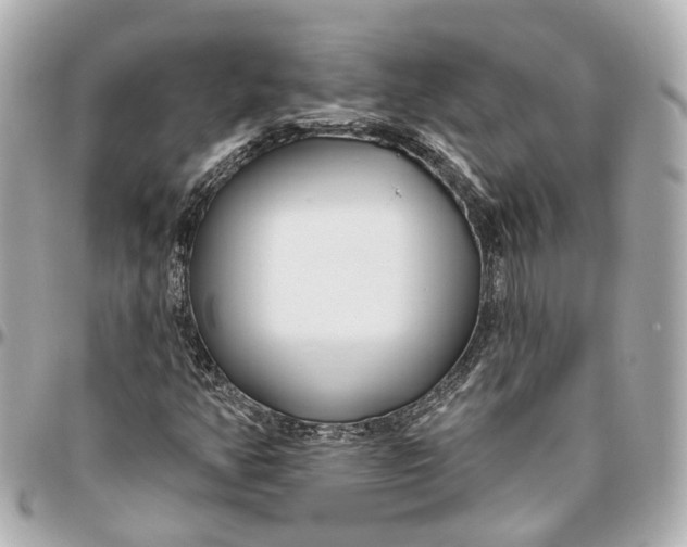 X0000095921350200802011204