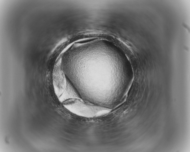 X0000095921351200802011204