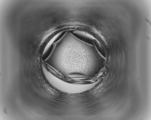 X0000095921352200802011204