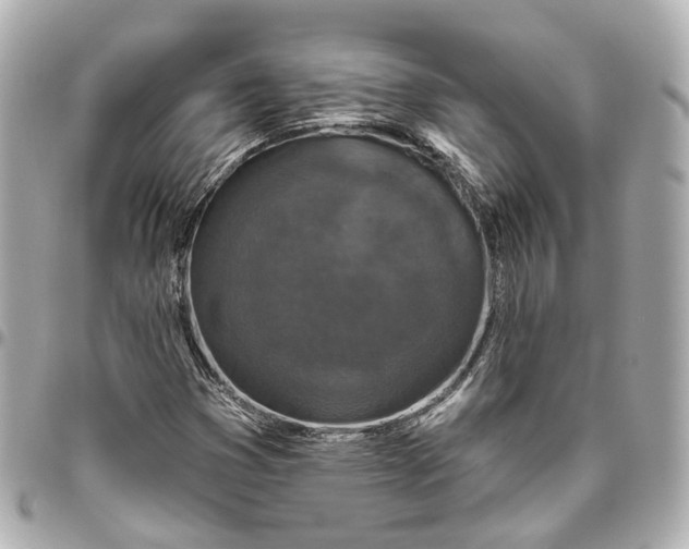 X0000095921353200802011204