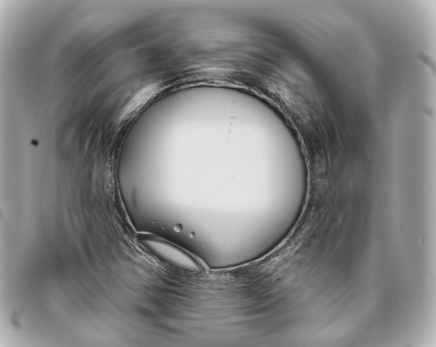 X0000095921354200802011204