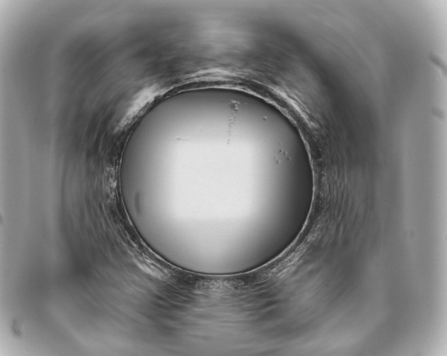 X0000095921355200802011203